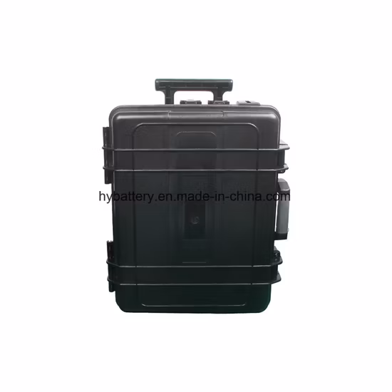 Personnalisation des prix faisant signe S haute qualité 12.8V 100ah 1200wh alimentation de stockage d'énergie Portable Rechargeable